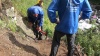 Волонтеры обустроили тропу в Катунском заповеднике